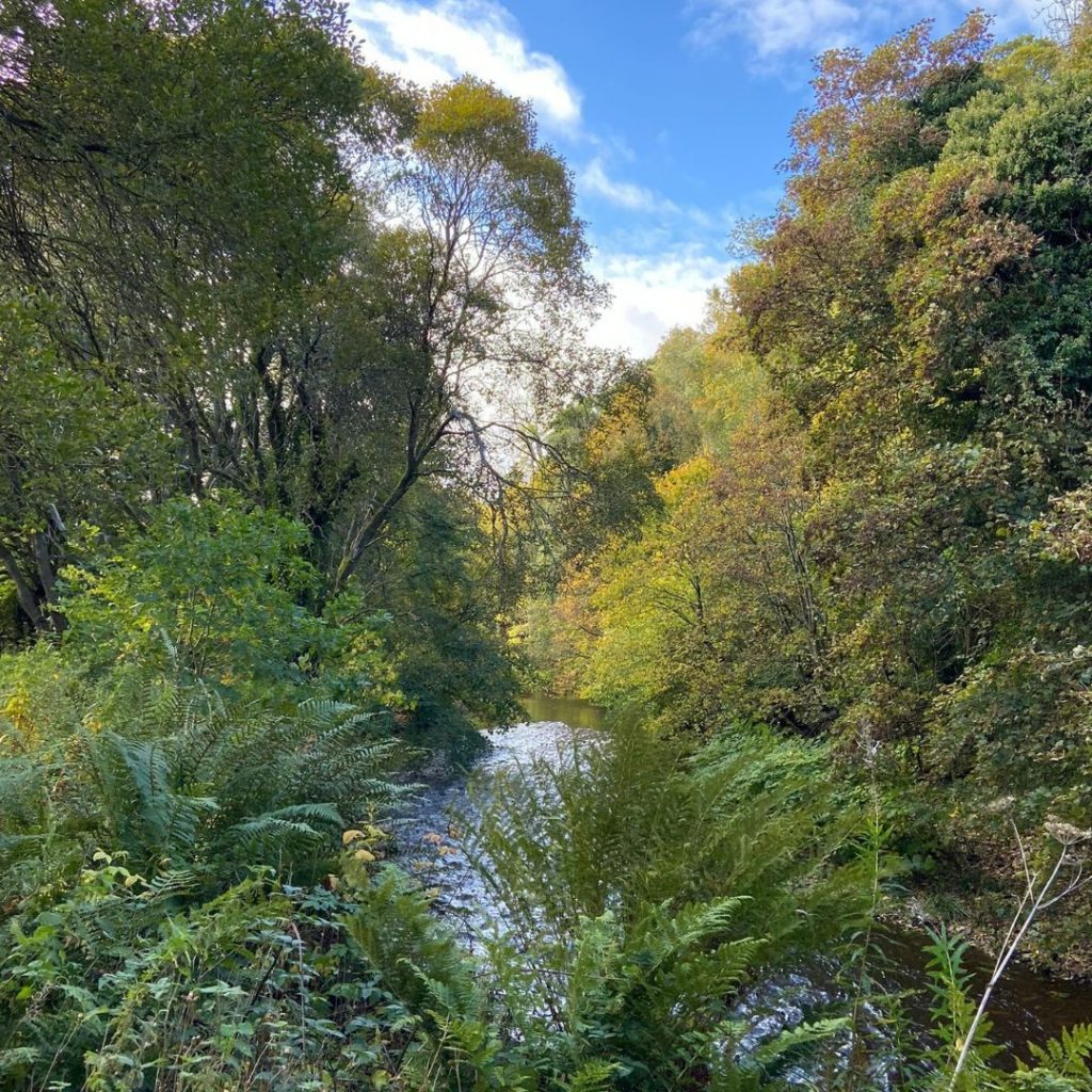 Roslin Glen Forest Walk Edinburgh & Lothians Regional Equality Council