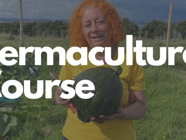 Permaculture Course