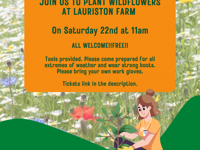 Wildflowers Planting event